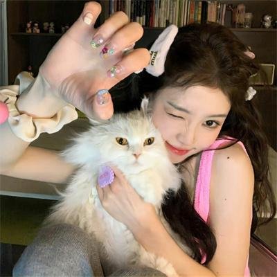 诈欺猎人